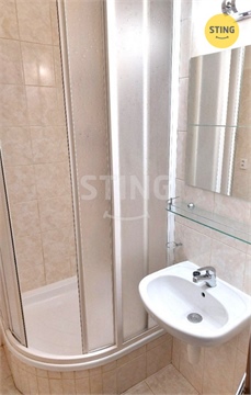 Pronájem bytu 1+1, 41 m² - 12