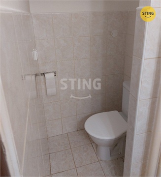 Pronájem bytu 1+1, 41 m² 12