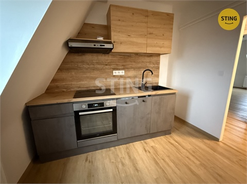 Pronájem bytu 2+1, 55 m² - 4