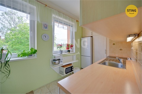 Prodej bytu 2+1, 58 m² - 10