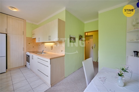 Prodej bytu 2+1, 58 m² 10