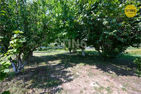 Prodej zahrady, 741 m² - 4