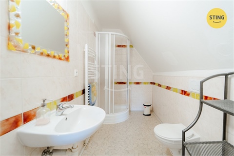 Prodej rodinného domu, 480 m² - 8