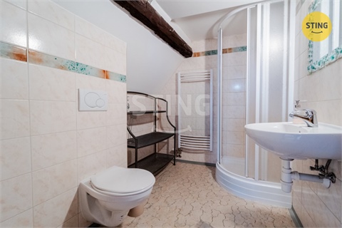 Prodej komerčního objektu, 480 m² 18