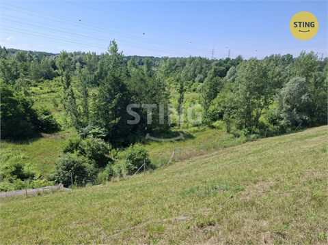 Pronájem louky, 29 433 m² - 0