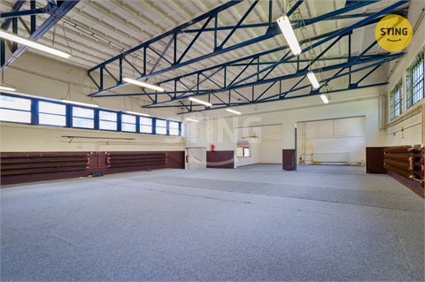 Prodej skladu / haly, 250 m² - 2