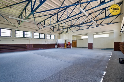 Prodej skladu / haly, 250 m² - 4