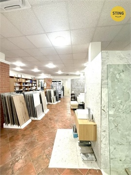 Pronájem obchodních prostor, 401 m² 6