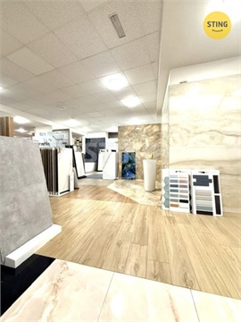 Pronájem obchodních prostor, 401 m² 8