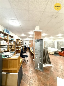 Pronájem obchodních prostor, 401 m² - 4