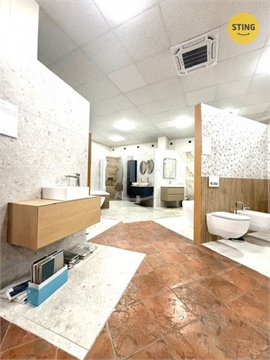 Pronájem obchodních prostor, 401 m² 4