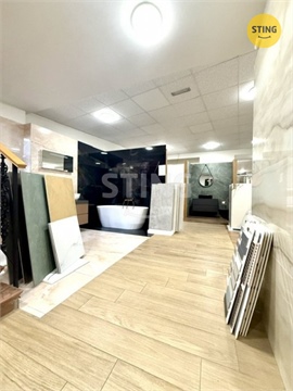 Pronájem obchodních prostor, 401 m² - 2