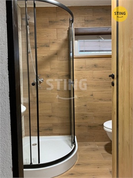 Pronájem bytu 1+1, 54 m² 2