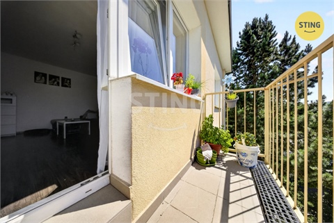 Prodej bytu 3+1, 53 m² 8