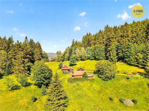 Prodej domu, 2 989 m² 10
