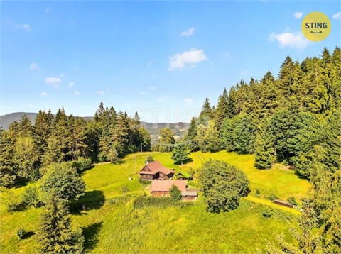 Prodej domu, 2 989 m² - 10