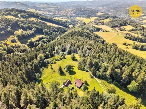 Prodej domu, 2 989 m² 8