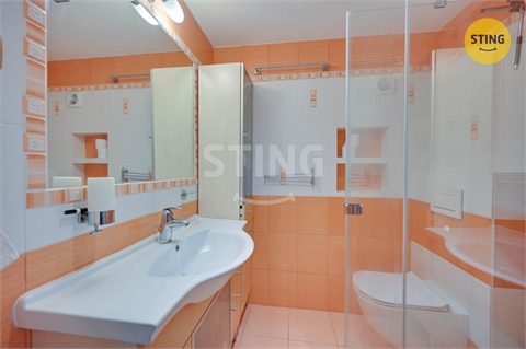 Prodej rodinného domu, 340 m² - 20