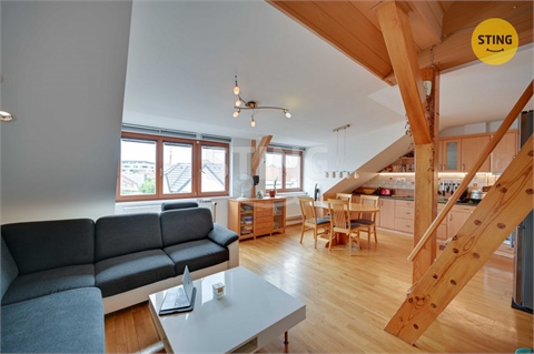 Prodej rodinného domu, 340 m² - 16