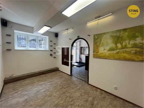 Pronájem obchodních prostor, 44 m² - 6