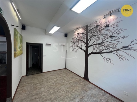 Pronájem obchodních prostor, 44 m² 8