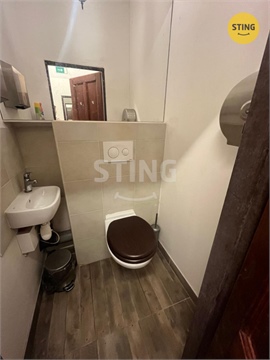 Pronájem obchodních prostor, 44 m² 12