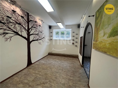 Prodej obchodních prostor, 44 m² 2