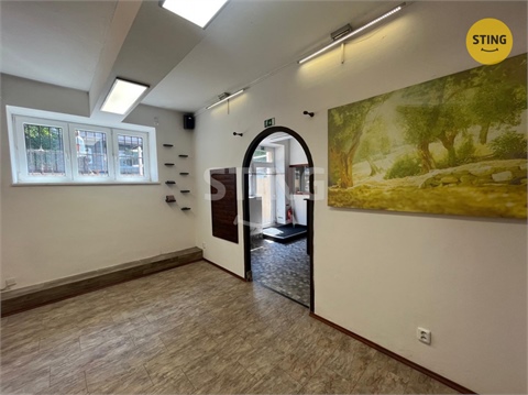 Prodej obchodních prostor, 44 m² - 6