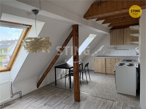 Pronájem bytu 1kk, 52 m² - 4