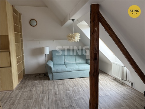 Pronájem bytu 1kk, 52 m² 4
