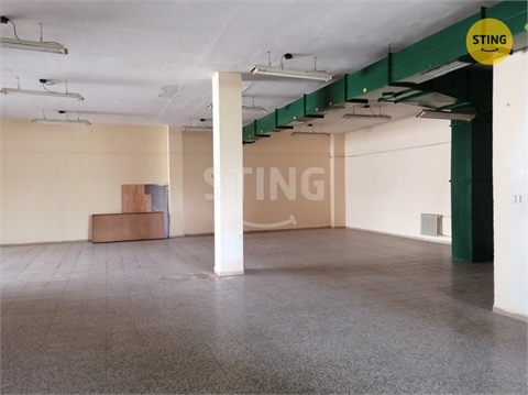 Pronájem obchodních prostor, 500 m² - 2