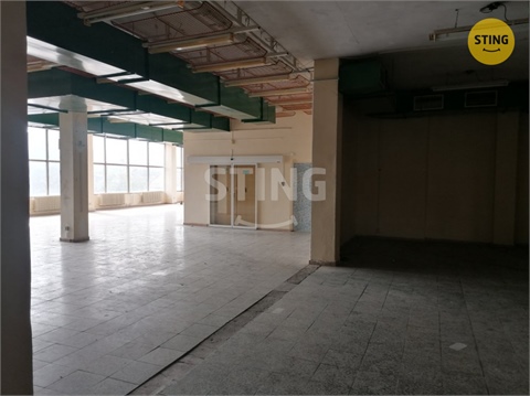 Pronájem obchodních prostor, 500 m² - 4