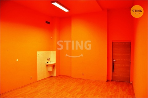 Pronájem obchodních prostor, 500 m² 10