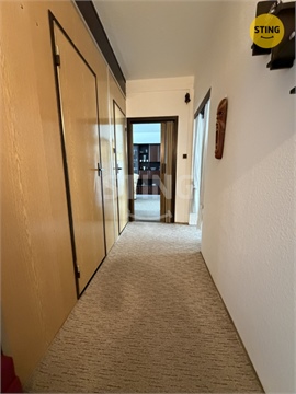 Prodej bytu 3+1, 71 m² 26