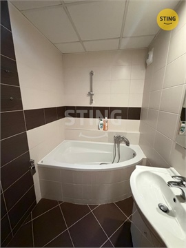 Pronájem bytu 2+1, 62 m² - 12