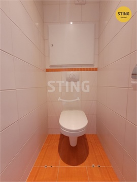 Pronájem bytu 3+1, 70 m² 14