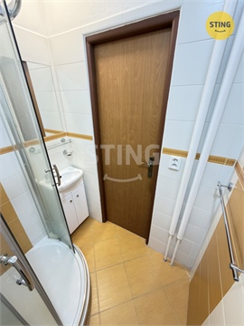 Pronájem bytu 2+1, 60 m² - 14