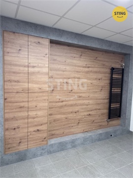 Pronájem obchodních prostor, 84 m² - 8