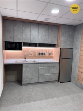 Pronájem obchodních prostor, 84 m² 8