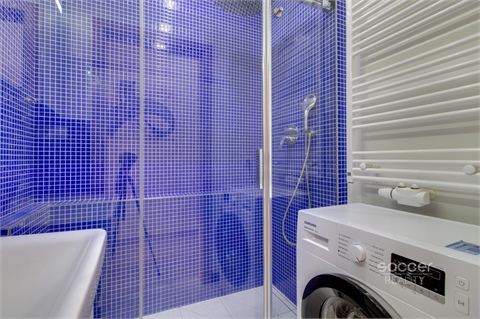 Pronájem bytu 3kk, 165 m² 8