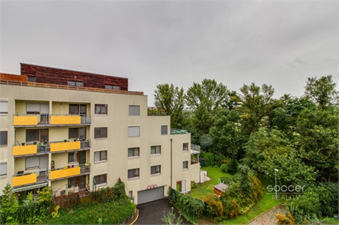 Pronájem bytu 3kk, 165 m² 20