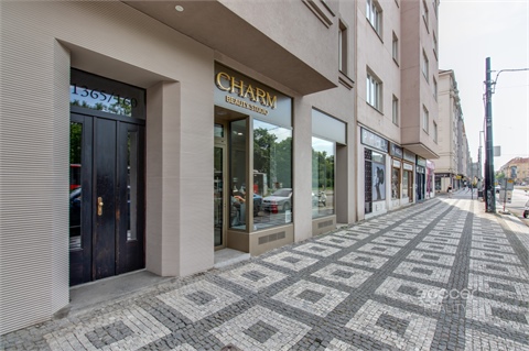 Pronájem bytu 1kk, 30 m² - 22