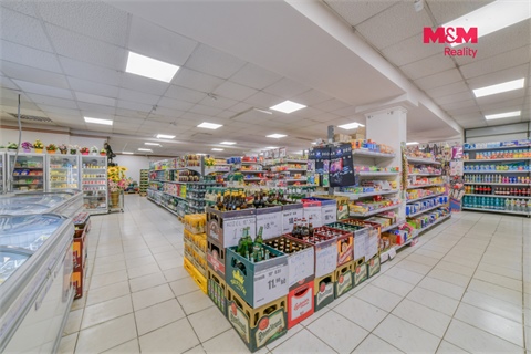 Prodej obchodních prostor, 845 m² 12