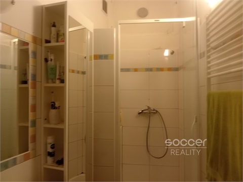 Pronájem bytu 2+1, 55 m² 8