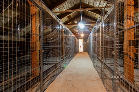 Pronájem bytu 1kk, 22 m² 14