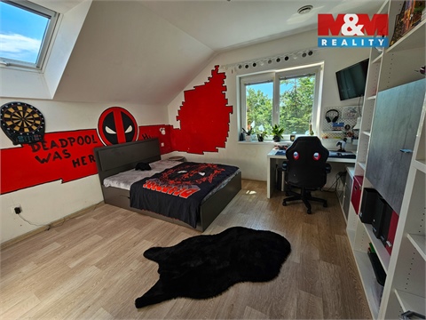 Prodej rodinného domu, 250 m² - 16
