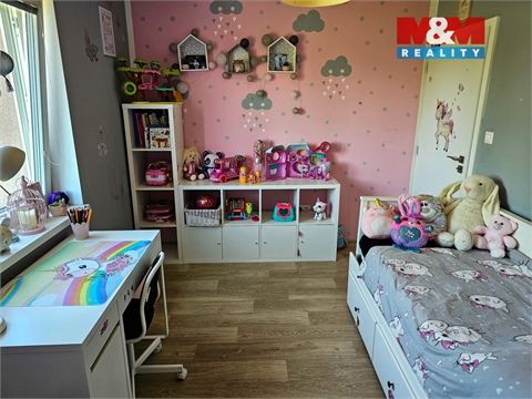 Prodej rodinného domu, 250 m² - 18
