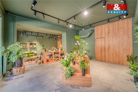 Pronájem obchodních prostor, 145 m² 6