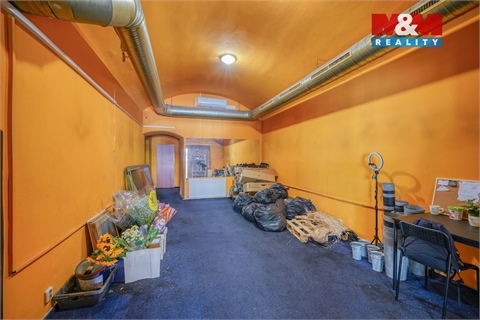Pronájem obchodních prostor, 145 m² - 12