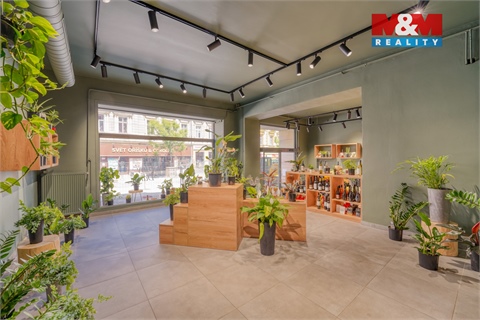 Pronájem obchodních prostor, 145 m² - 4